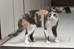     
: DSC_3315.jpg
: 15
:	76.9 
ID:	11402250