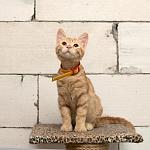     
: DSC_3020.jpg
: 15
:	68.6 
ID:	11402276