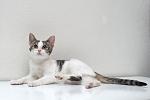     
: DSC_3240.jpg
: 20
:	70.5 
ID:	11402279
