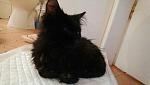     
: nQLt5CskE2U.jpg
: 15
:	31.1 
ID:	11405061