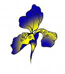     
: logo.jpg
: 8
:	47.2 
ID:	11405331