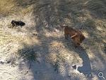    
: baigU5M12G8.jpg
: 65
:	28.8 
ID:	11405463