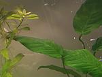     
: IMG_7348.jpg
: 9
:	74.4 
ID:	11407372