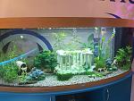    
: IMG_7347.jpg
: 10
:	152.4 
ID:	11407373