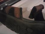     
: CAM00903.jpg
: 16
:	89.9 
ID:	11407822