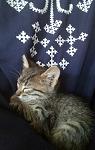     
: P60816-134640.jpg
: 13
:	90.8 
ID:	11409386