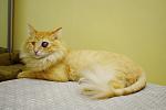     
: DSC_4426.jpg
: 5
:	65.1 
ID:	11409530