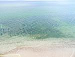     
: DSCN6138.JPG
: 29
:	113.0 
ID:	11413363