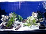     
: GEDC2880.JPG
: 25
:	141.8 
ID:	11419092