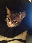     
: xFUy6al30jA.jpg
: 10
:	152.7 
ID:	11419582
