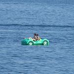     
: IMG_8272.jpg
: 40
:	142.0 
ID:	11420121