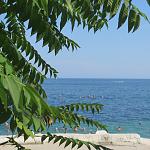     
: IMG_8252.jpg
: 39
:	129.3 
ID:	11420123