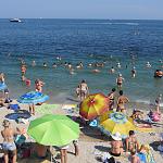     
: IMG_8261.jpg
: 40
:	150.7 
ID:	11420124