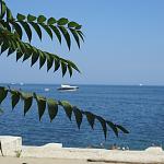     
: IMG_8254.jpg
: 37
:	84.8 
ID:	11420126