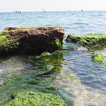     
: IMG_8176.jpg
: 37
:	191.2 
ID:	11420127