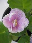     
: IMG_6845.jpg
: 23
:	57.4 
ID:	11420802