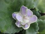     
: IMG_6842.jpg
: 29
:	109.1 
ID:	11420803