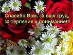     
: img14.jpg
: 63
:	50.8 
ID:	11423079