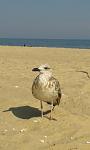     
: 20160820_154558.jpg
: 16
:	53.2 
ID:	11423642