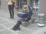     
: Video 140 0 00 01-06.jpg
: 222
:	75.0 
ID:	1142709