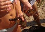     
: P_20160828_135506_1.jpg
: 49
:	144.6 
ID:	11441122