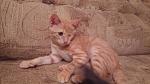     
: NzW1RfPxpPo.jpg
: 22
:	107.6 
ID:	11441650
