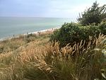     
: IMG_20160829_151242.jpg
: 32
:	210.0 
ID:	11443050