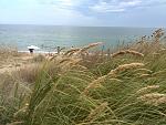     
: IMG_20160829_151133.jpg
: 32
:	206.1 
ID:	11443052