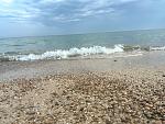     
: IMG_20160829_150856.jpg
: 35
:	222.1 
ID:	11443053