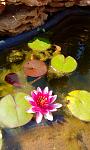     
: IMG_20160819_103143.jpg
: 13
:	90.6 
ID:	11444535
