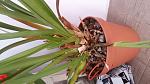     
: 20160831_132345.jpg
: 36
:	114.2 
ID:	11447206