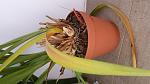     
: 20160831_132429.jpg
: 40
:	96.5 
ID:	11447207