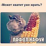     
: _n.jpg
: 11
:	85.8 
ID:	11449281