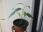     
: IMG_7408.jpg
: 20
:	59.7 
ID:	11452992