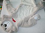     
: IMG_1059_cr.jpg
: 7
:	130.8 
ID:	11454825