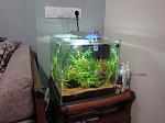     
: DSC02425.jpg
: 16
:	87.3 
ID:	11455788