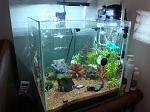     
: DSC02152_1.jpg
: 17
:	105.4 
ID:	11455816