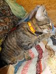     
: DSCF4490.jpg
: 14
:	138.3 
ID:	11456887