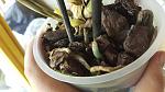     
: 20160904_121658.jpg
: 19
:	107.5 
ID:	11457850
