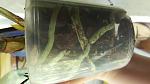     
: 20160904_121643.jpg
: 20
:	68.1 
ID:	11457858