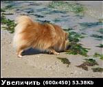     
: 682790063381d0a04a.jpg
: 15
:	9.9 
ID:	114585