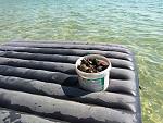     
: DSC03729.jpg
: 28
:	180.4 
ID:	11459083