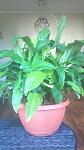     
: 2016-09-04_17-17-52_798.jpg
: 84
:	72.8 
ID:	11459202