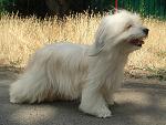     
: DSC04525.jpg
: 19
:	142.5 
ID:	11459943