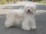     
: DSC04535.jpg
: 19
:	182.6 
ID:	11459944