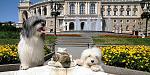     
: IMG_6717(1).jpg
: 28
:	132.4 
ID:	11459947