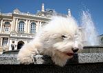    
: IMG_6706.jpg
: 21
:	297.4 
ID:	11459948