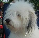     
: DSC03962(1).jpg
: 20
:	107.7 
ID:	11459950