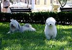     
: IMG_6536.jpg
: 27
:	139.3 
ID:	11459951