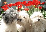     
: DSC03192.jpg
: 19
:	111.0 
ID:	11459952